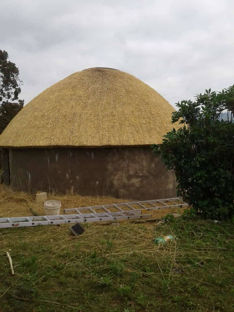 Thatched roof detail