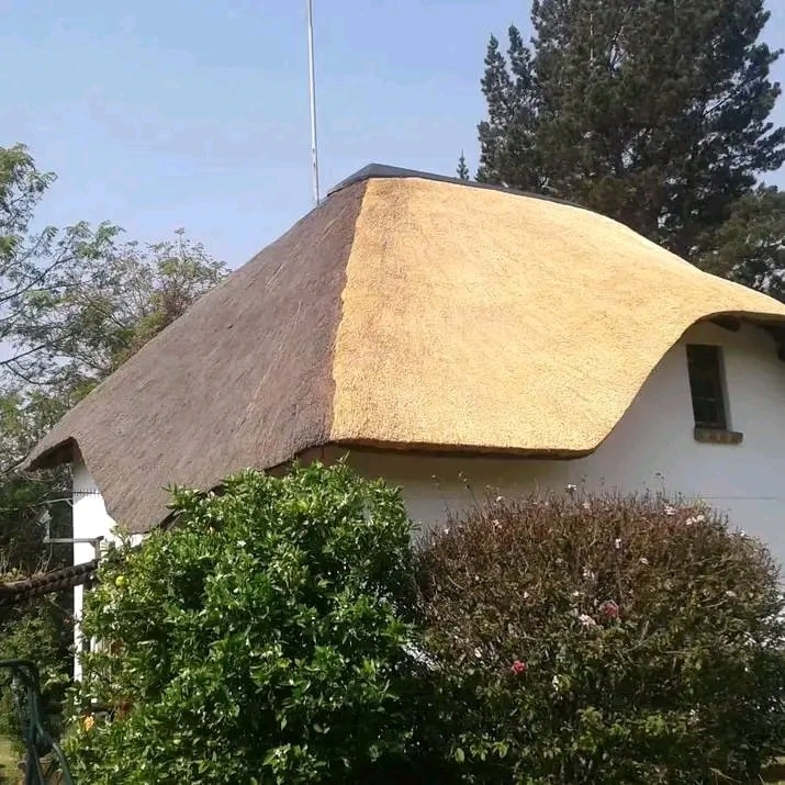 Thatched roof result