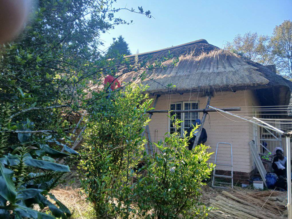Thatching project