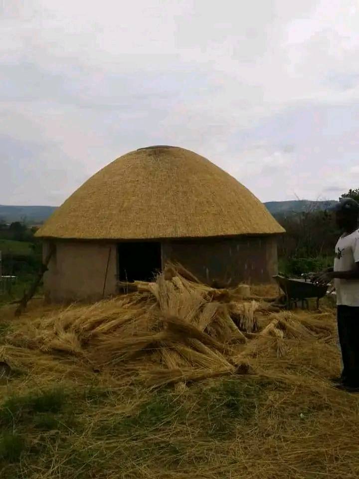 Thatching project