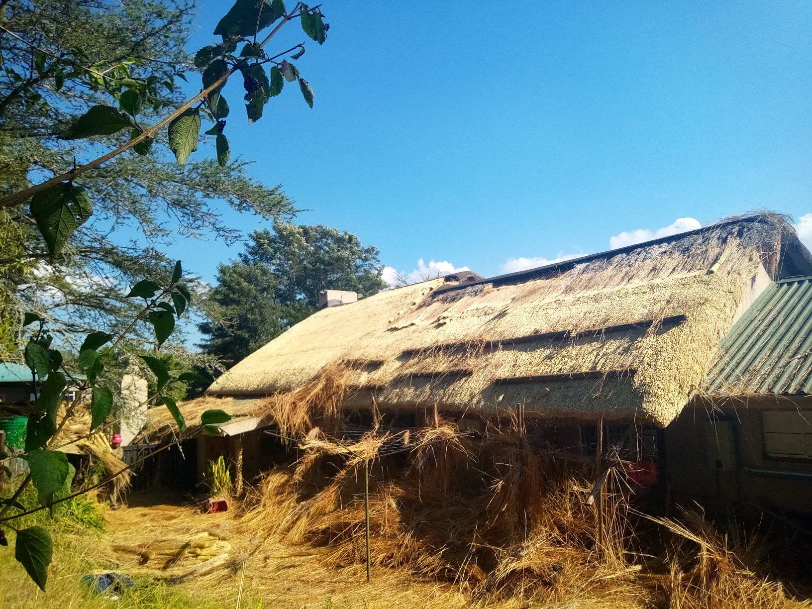 Strong roof character